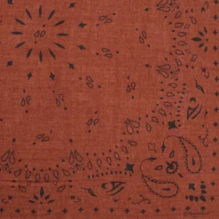 FOULARD IN LANA, CASHMERE E SETA 65 MARRONE Paisley