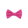 PAPILLON ANNODATO IN SETA FUCSIA Microfantasia geoemtrica