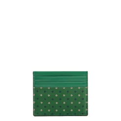 PORTACARTE DI CREDITO SETA E PELLE VERDE CHIARO 5 scomparti