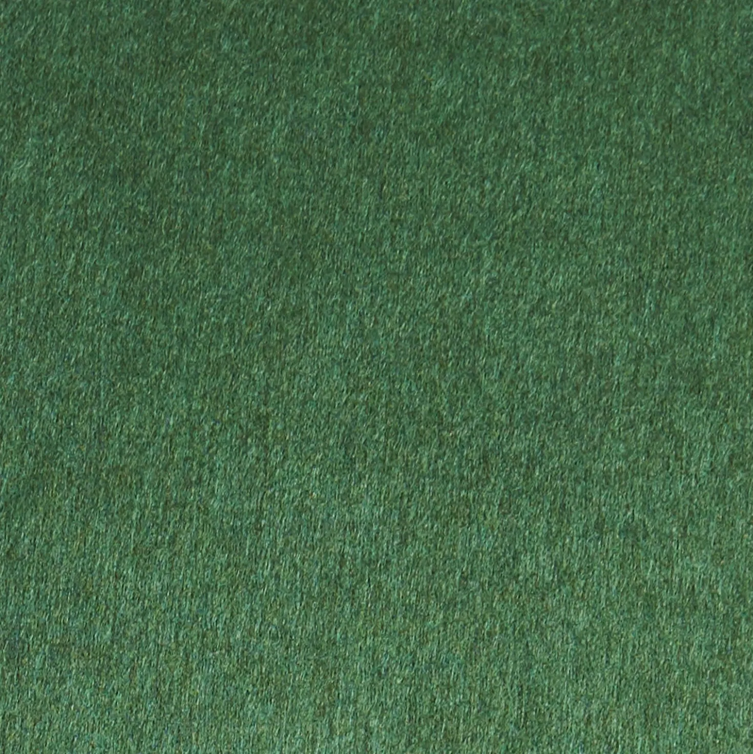 SCIARPA BICOLOR VERDE E BEIGE IN SETA E CASHMERE Tinta unita